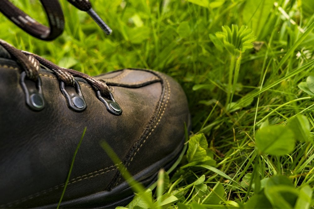 Bacteria killed by feet shoes on green little plants garden