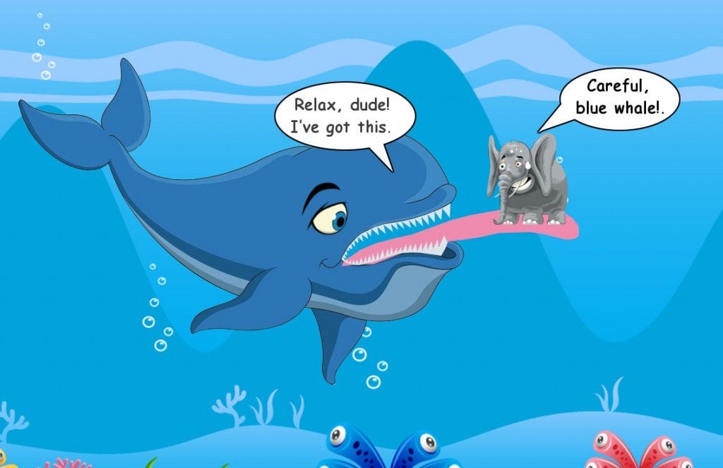 How Do Whales Survive By Eating Krill? » ScienceABC