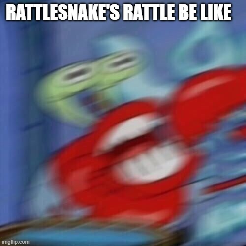 RATTLESNAKE'S RATTLE BE LIKE