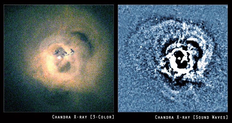 Black hole sound waves