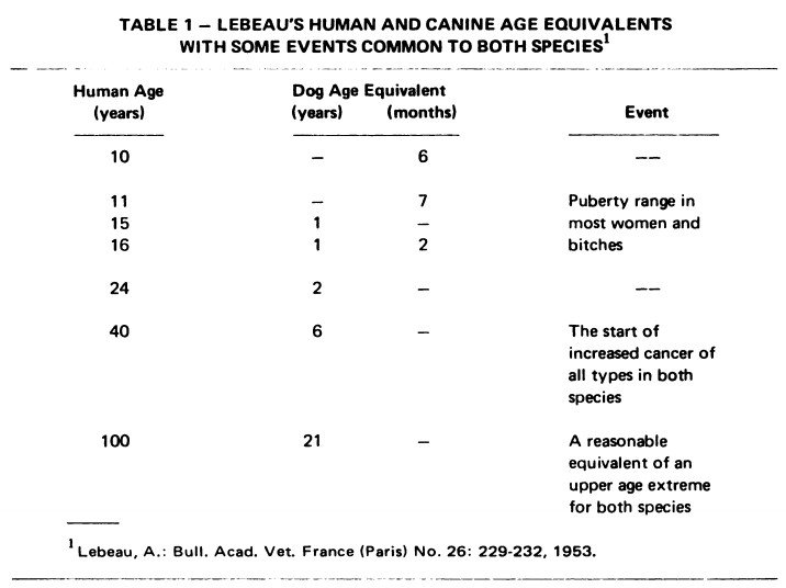 Lebeau's Research Book