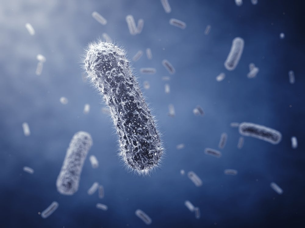 Rod-shaped bacteria ,detailed illustration