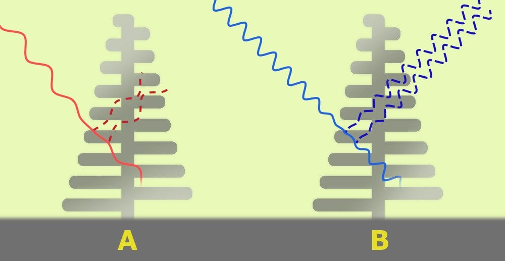 Structure of ridges found on scales of Blue Morpho Butterfly Red waves & blue waves