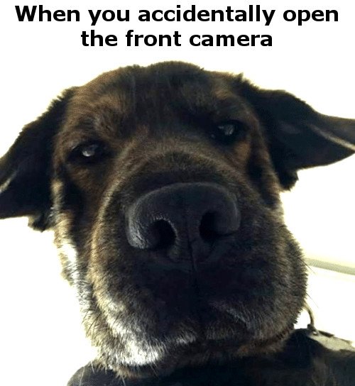 When you accidentaly open the front camera meme