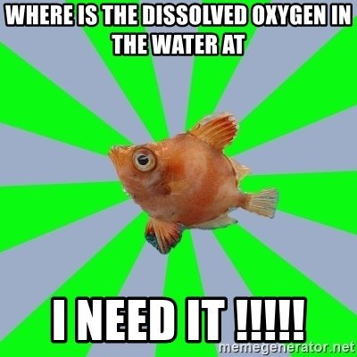 , Why Does Water Appear White While Going Over A Waterfall?, Science ABC, Science ABC