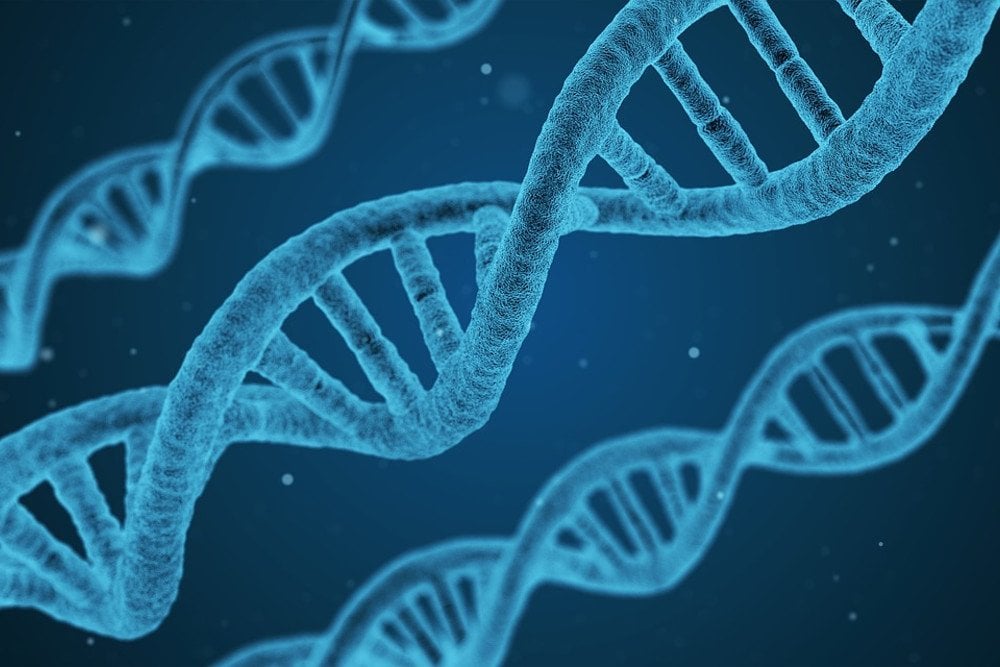 DNA wallpaper