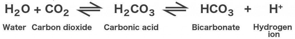 Water carbon dioxide carbonic acid bicarbonate hydrogen ion formula