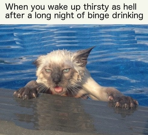 When you wake up thirsty as hell after a long night of binge drinking meme