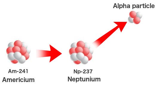 Americium decay
