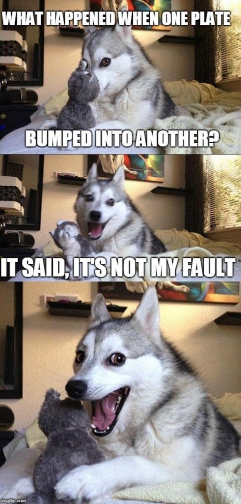 Bad pun dog meme