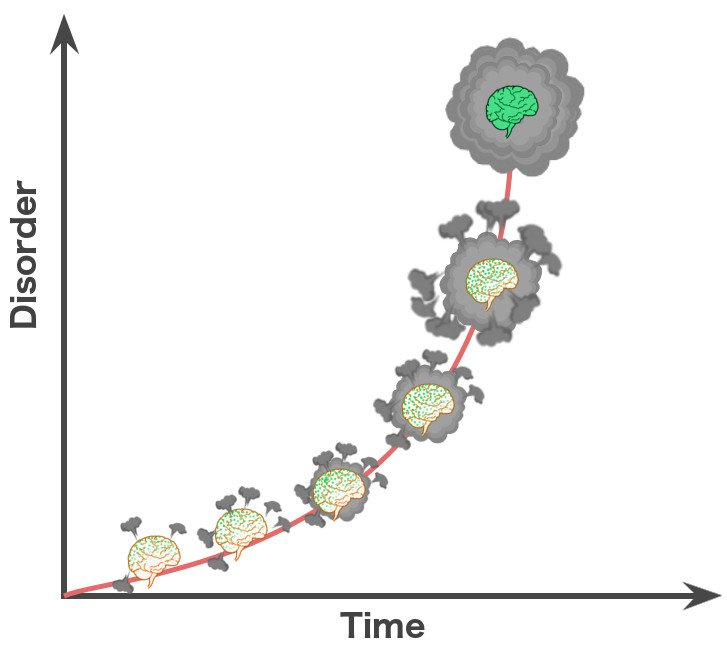 Entropy direction of time disorder