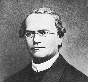 Gregor Mendel