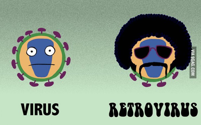 Virus retrovirus meme