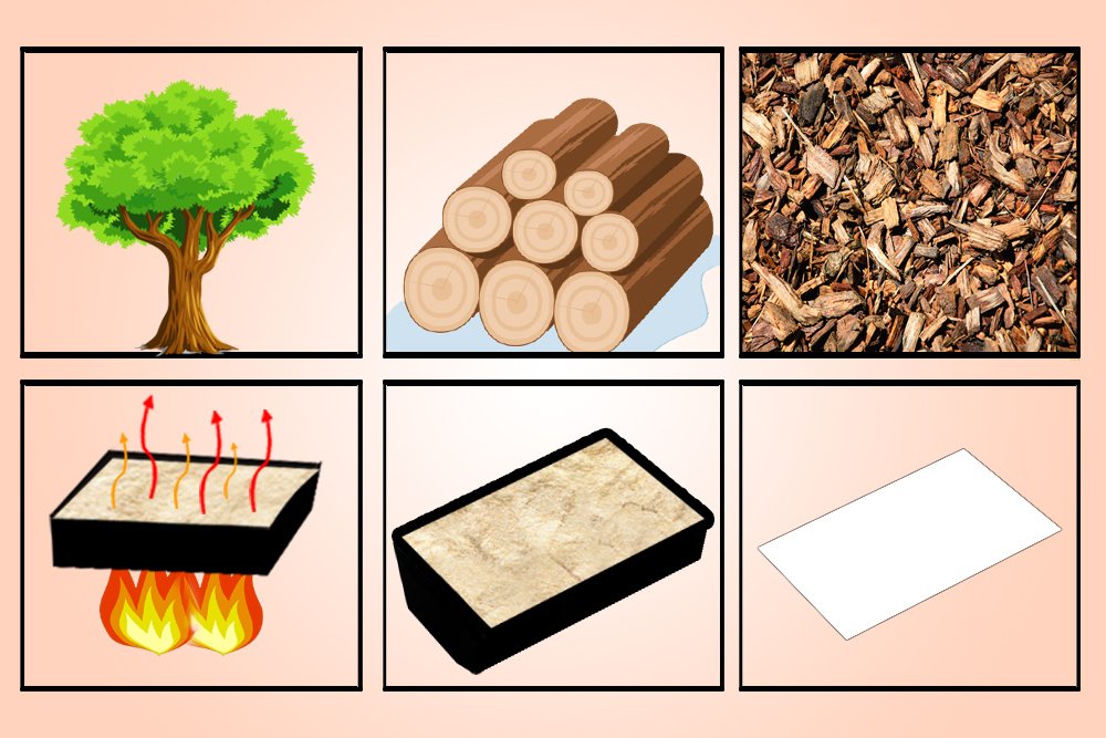 How Is Paper Made From Trees Online Ststephen pc gov uk