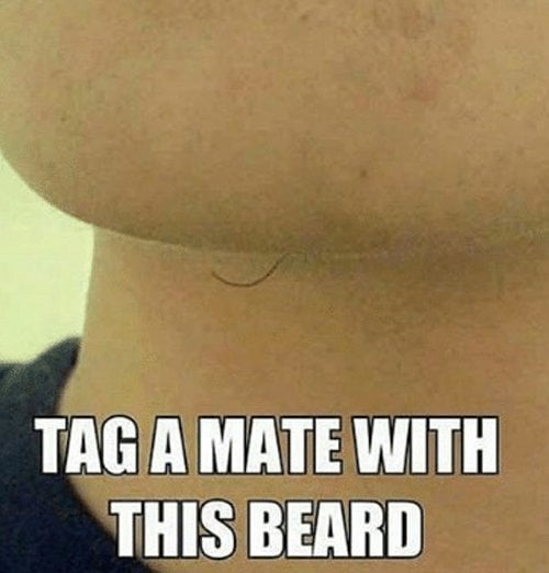 tag matte with the beard