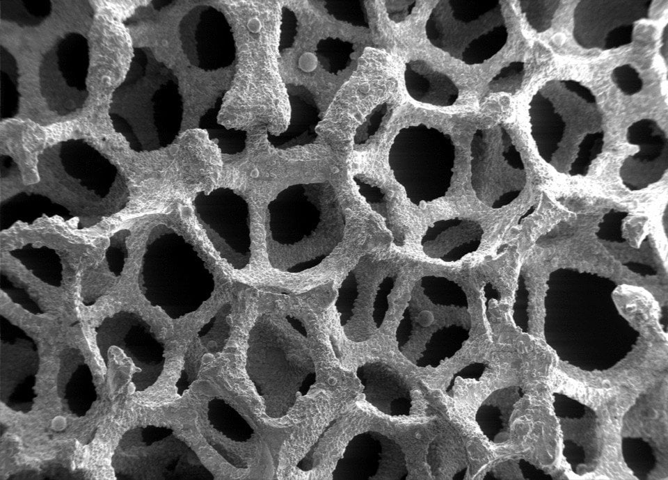 Image-Metal Foam in Scanning Electron Microscope, magnification 10x b