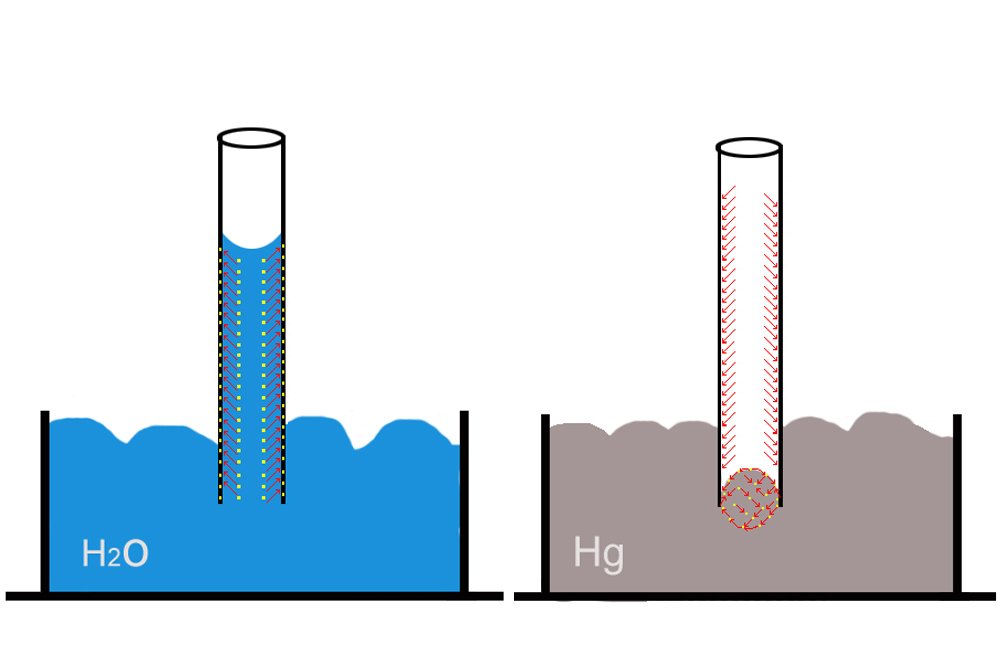 Mechanism and mercury side by side