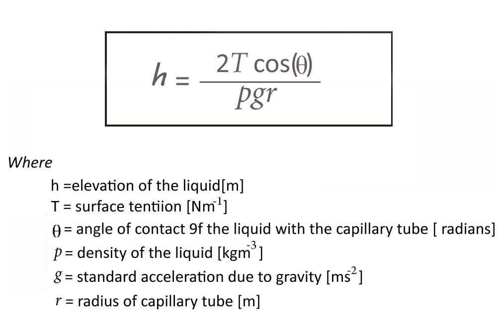 formula