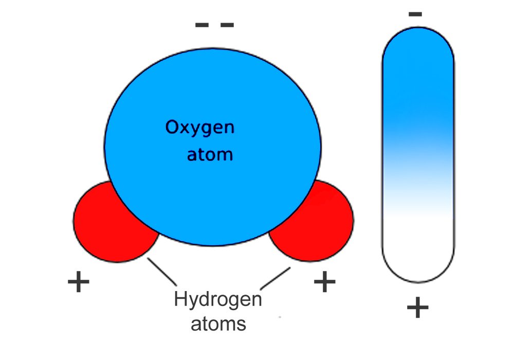 water molecule dipole