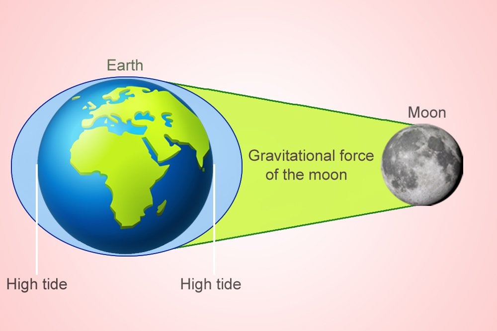 gravitational force of the moon