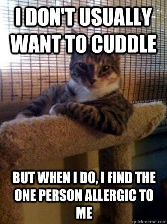 i dont want usually cuddle meme