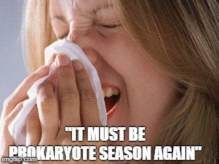 It must be prokaryote season again meme