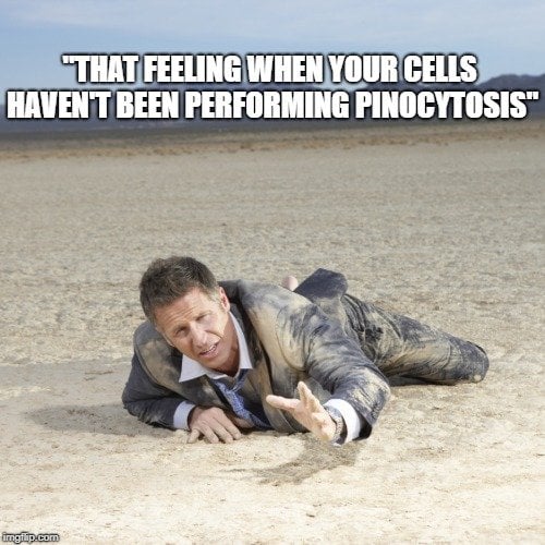 that feeling when your cells haven't been performing pinocytosis meme