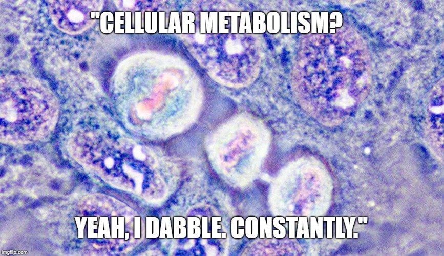 "Cellular metabolism