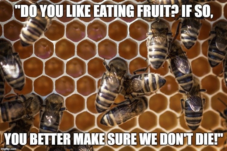 Do you like eating fruit