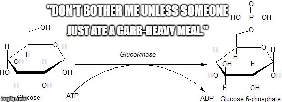 Glucokinase molecule meme