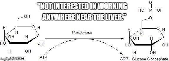 Hexokinase molecule