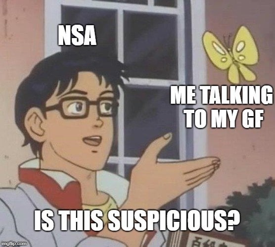 NSA; ME TALKING TO MY GF IS THIS SUSPICIOUS