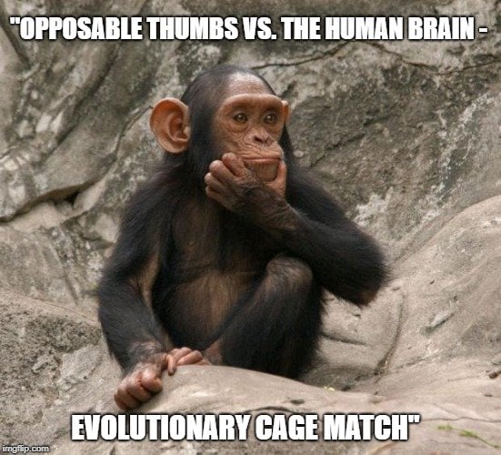 Opposable thumbs vs. the human brain meme