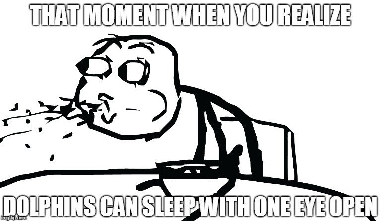 That moment when you realize dolphins can sleep with one eye open