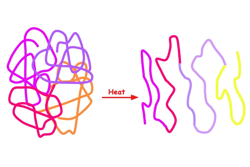 denaturing of the protein