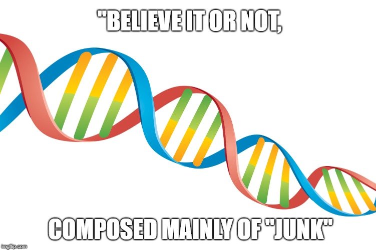 Believe it or not meme