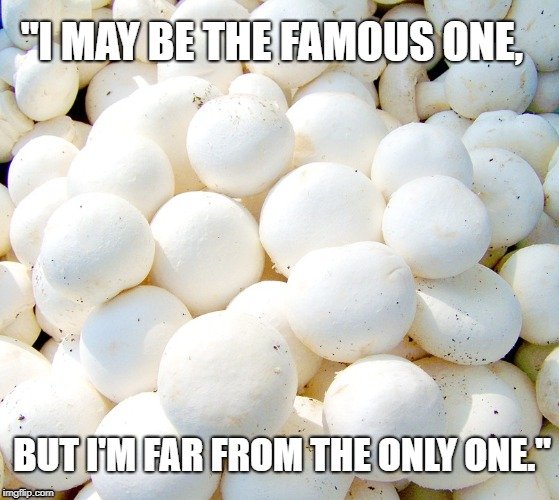I may be the famous one meme