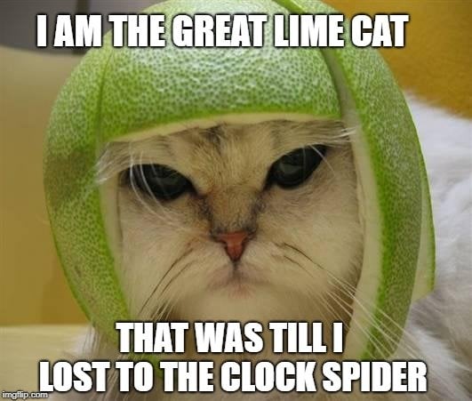 LIME CAT MEME