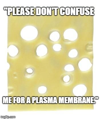 Please don't confuse cheese meme