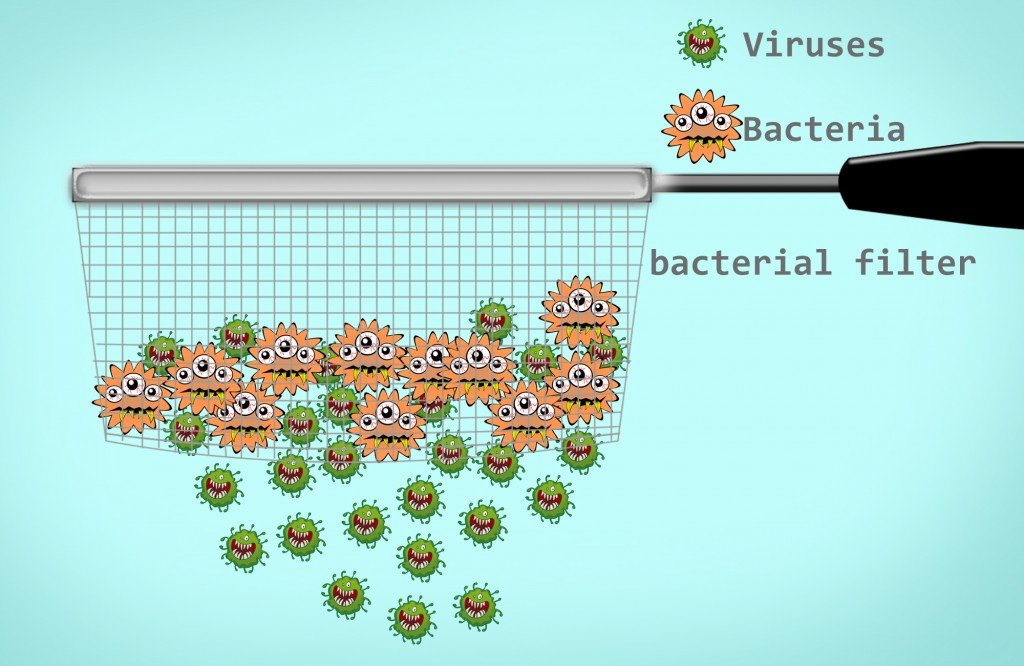 bacteria are stuck above the sieve