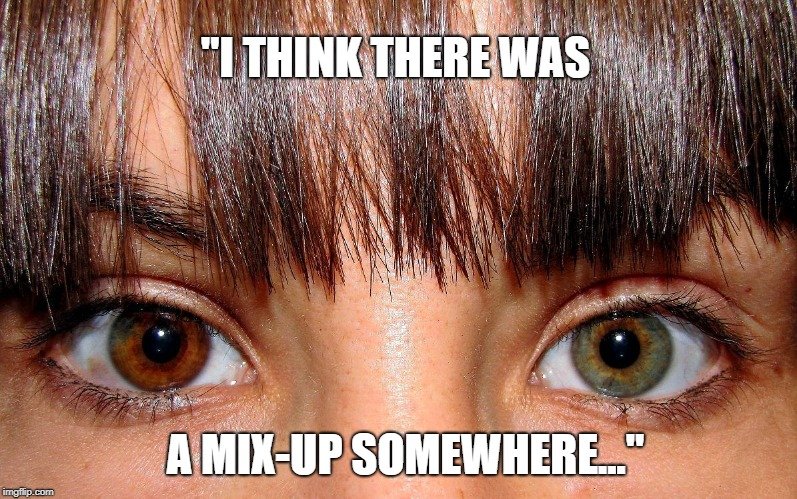 mix-up somewhere. meme