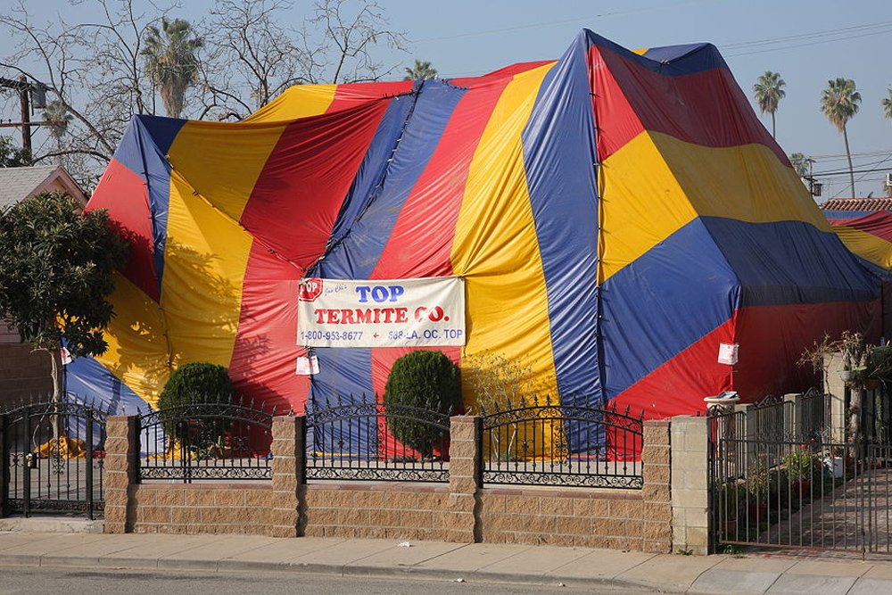 tent fumigation