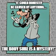 the body sure is a mystery meme