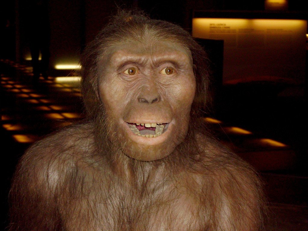 Australopithecus afarensis