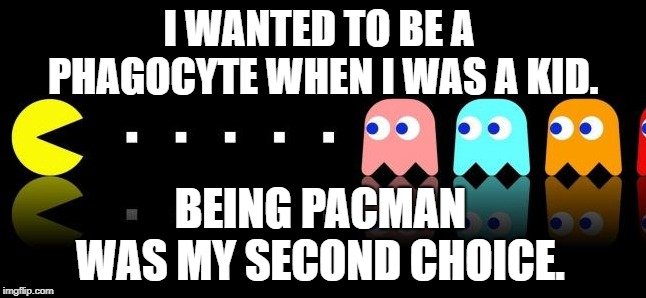 Being PacMan was my second choice meme