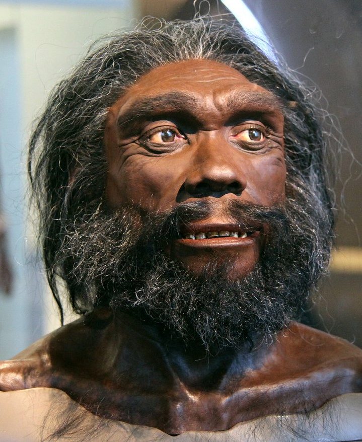 Homo heidelbergensis