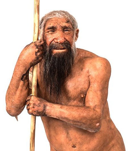 Homo_neanderthalensis