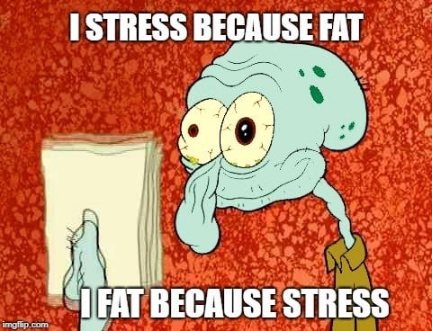 I FAT BECAUSE STRESS meme