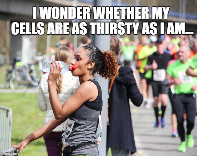 I wonder whether my cells are as thirsty as I am meme