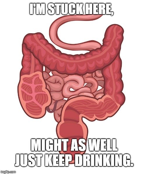 I'm stuck here meme